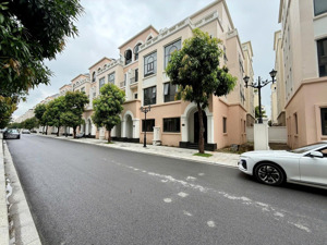 cho thuê nhà mặt phố ngô xuân quảng, giá thỏa thuận, 110m2, view đẹp tại trâu quỳ, gia lâm, hà nội