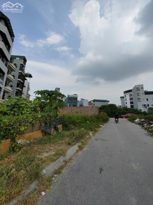 CẦN TIỀN BÁN 62,4 m2 ĐẤT DỊCH VỤ LAI XÁ – KIM CHUNG HOÀI ĐỨC (Sdt liên hệ: 0915458886)