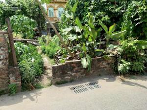 Siêu hiếm 52m² thôn Bắc Kim Nỗ, giá đầu tư, ngõ ô tô ngay bìa làng