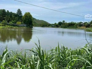 cần bán 4600m2 view hồ tại thôn xoan - vân hoà - ba vì - hà nội