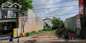 Cho thuê lô đất thổ ở Long Bình, Q9