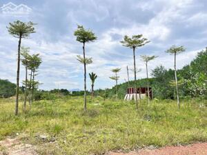 Cho thuê đất nền 100m2 tại Bắc Nghĩa, Đồng Hới, Quảng Bình