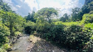 cần bán lô đất dt 809m2 , bám suối tại lâm sơn - lương sơn - hoà bình cũ