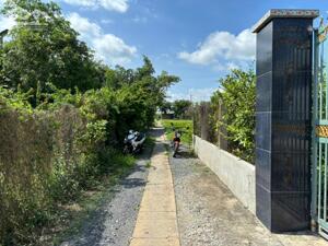 Đất thổ cư 321m2 mt đường 3m xã Tân Lân Chủ kẹt bán gấp 980tr