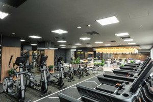 chính sách ưu đãi vàng - ck đến 18% giá trị căn hộ cao cấp chuẩn nhật 100%