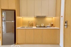 chính sách tháng ngâu siêu ưu đãi tặng 100tr khi mua căn 1n+1 tại sun urban city