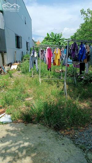 Lô đất HXH Huỳnh Thị Mài Tân Hiệp, HM 160m2 .Giá rẻ chỉ 3.5 tỷ (TL)