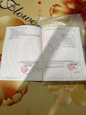 CHÍNH CHỦ CẦN BÁN GẤP LÔ ĐẤT TIỀM NĂNG GIÁ ĐẦU TƯ NGAY TT THỊ TRẤN CẦN GIUỘC, LONG AN