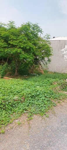 cơ hội vàng: đất bình chánh tỉnh lộ 10, giá tốt, shr, công chứng ngay, 105m2/800 triệu