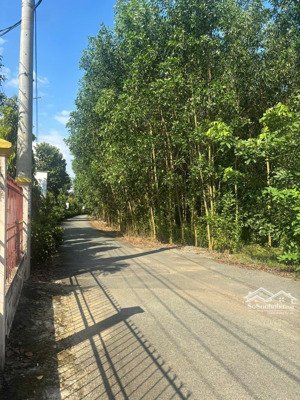 bán đất 8.000 m²2 mặt tiền ql51 gần cổng chính sân bay long thành, phù hợp kho bãi hoặc phân lô