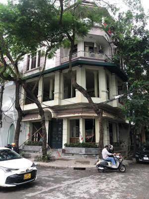 siêm phẩm! cho thuê nhà phố hào nam, dt : 60m x 5tầng, mt lô góc : 16,5m, via hè rộng, giá: 50tr/th