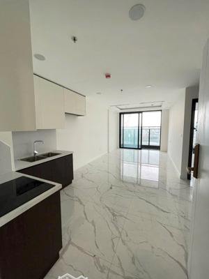 cho thuê sunshine sky city q7, 2pn 2wc, 12 triệu / tháng. nội thất cơ bản