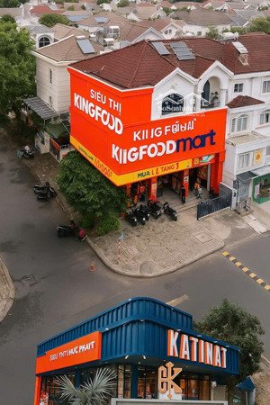 bán biệt thự song lập vị trí góc đẹp nhất khu nam viên- phú mỹ hưng