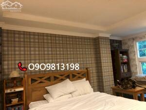 TIỀM NĂNG THƯƠNG MẠI VÀNG - QUẬN 1