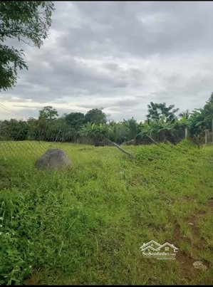 bán gấp 2400m2 đất xã lâm san, huyện cẩm mỹ, đồng nai, 47m x 55m