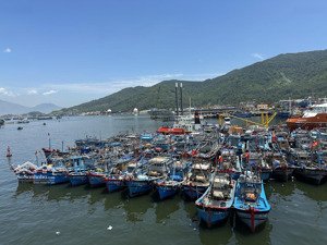 536m2, gần âu thuyền, biển mân thái, mặt tiền ngô quyền chỉ 39 tỷ sơn trà, tặng nhà 2 tầng.