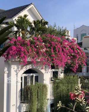 8x20m hầm 3 tầng- bán 40 tỷ - nhà kđt an phú-an khánh q2- ngay đường bùi tá hán