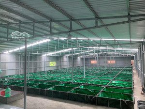 chính chủ bán nhà vườn tại hoà phong 700m2, giá 2,2 tỷ