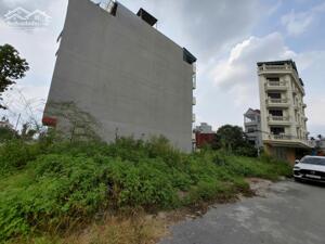 BÁN NHANH LÔ ĐẤT 58.8M2 DỊCH VỤ YÊN VĨNH – KIM CHUNG(Sdt liên hệ: 0915458886)