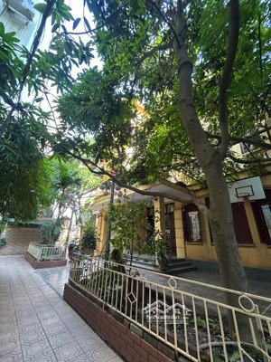 bán biệt thự pháp cổ pha hiện đại bán đảo hồ tây 350m2, mặt tiền 15m giá nhỉnh 100 tỷ