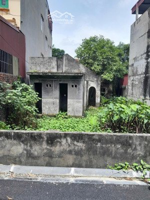 hàng hiếm tại bán đất tại xã mai lâm, đông anh, hà nội, 110 triệu, 240 m2