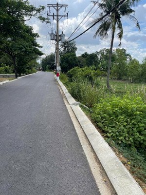 bán đất tại bà thau, tân kiên, bình chánh, hcm, giá tốt, 1000m2