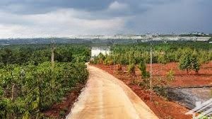 bán đất tại tân văn, lâm hà, lâm đồng, 11 triệu/m2, 5761 m2 giá tốt uy tín