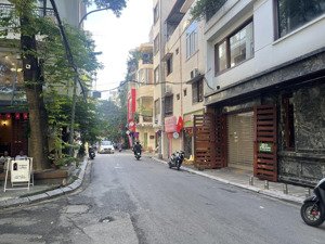 chính chủ bán nhà ngõ 49 huỳnh thúc kháng - đống đa, 55m2x4t mt 5m giá 24 tỉ,ô tô tránh, qh ổn định