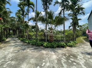 siêu phẩm lô góc 3 mặt tiền vừa đầu tư, vừa nghỉ dưỡng liên sơn, lương sơn, hoà bình