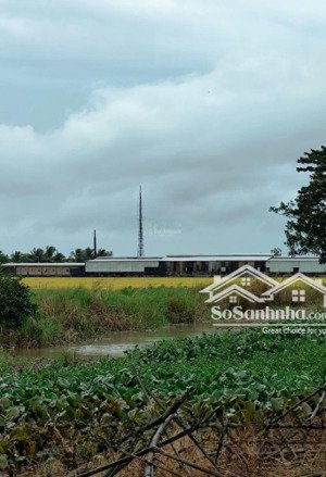 bán 6800m2 nhà xưởng, tl 919, vĩnh thạnh cần thơ(182m2 ont, 1155m2 đất skc, 5081m2 luc, 373m2 cln)