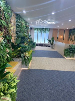 chỉ trả trc 200 triệu sở hữu căn gần bình chánh centro 50m2 2pn 2wc sổ hồng riêng trả góp 24 tháng