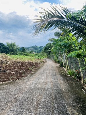  - bán 3 sào phủ hồng gần hồ,đất phủ hồng p.hàng gòn đồng nai