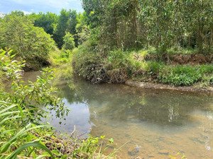 bán 9,4 sào đất chỉ 415 triệu/ sào thuộc xuyên mộc - tp hồ chí minh (trước là xuyên mộc- bà rịa)