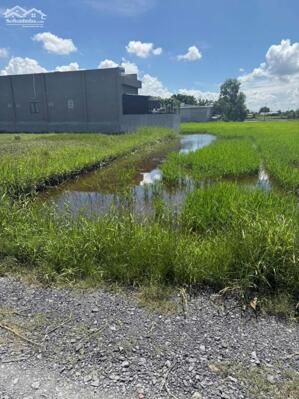 Bán gấp 200m2 đất thổ cư sổ hồng riêng bao sang tên giá 1 tỷ 100