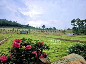 bán đất 250m2, 3,75 tỷ tại xã phú mãn, quốc oai, hà nội