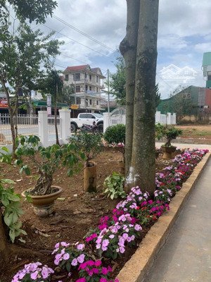 bán đất 4000m2 tặng biệt thự 600m2 thổ cư