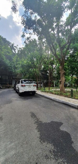 bán biệt thự đơn lập d5 vườn đào, tây hồ. lô góc 3 mặt thoáng. giá 5xxtr/m2.