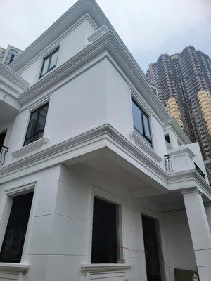 bán biệt thự roman plaza, tố hữu, đại mỗ, nam từ liêm, hà nội, 250 triệu / m2, 190 m2