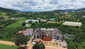 villa nghỉ dưỡng bên đồi thông chốn an yên ven đà lạt chỉ 3,55 tỷ! 375m² 300mont full nội thất