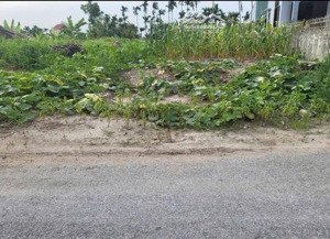lô đất rẻ đẹp giá đầu tư tại hoà nghĩa , dương kinh, hải phòng. vị trí siêu đẹp mặt đườn