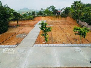 bán đất giá tốt tại tân phương, 700 triệu, 110m2, phú thọ