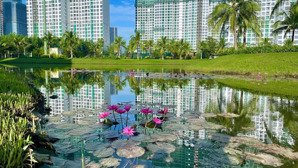 bán ch 2pn vinhomes grand park, 59m2/2,4 tỷ, giá thực không ảo