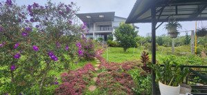 nhà biệt thự vườn 6.000m2, rất đẹp ven đà lạt