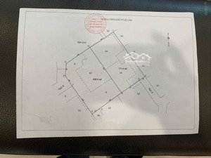 biệt thự sân vườn đẳng cấp nguyễn trãi. dt: 193/208 m2 x 3 tầng x mt 17m x giá bán 40 tỷ