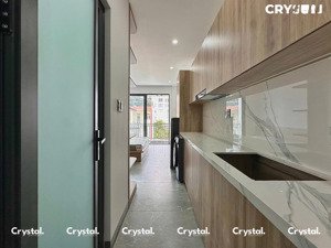 siêu phẩm căn hộ dịch vụ cao cấp đinh công tráng q1 gần nhà thờ đức bà & diamond plaza
