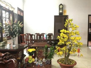 bán gấp biệt thự 3 tầng tại đường số 45, tân quy, q7, tp.hcm, 34 tỷ, 205 m2