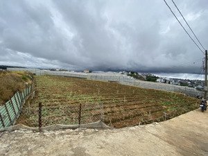 bán đất nông nghiệp bằng phẳng view thoáng cao thắng đà lạt