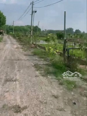 bán đất tại nguyễn thị náo, củ chi, hcm, 55,9 tỷ, 29888,5 m2, đẹp, nhiều tiện ích