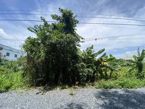 bán đất nền 1400m2, 19,999 nghìn/m2, ở thanh niên, bình chánh, hcm