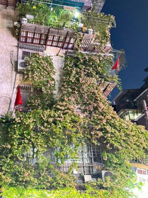 hiếm! mặt phố! tập thể kim liên, phương mai, 75 m2 (37m2 sổ), 3 ngủ, 2wc, 4. x tỷ